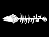 サカナクション official site