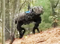 Big Dog