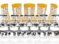 Embody Chair