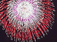 五重芯 / 花火