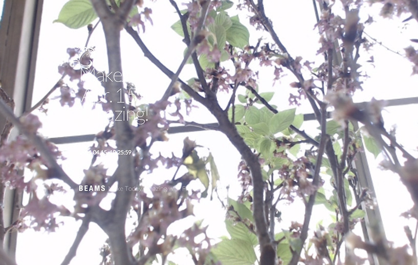 Make Today Amazing with flower | BEAMS