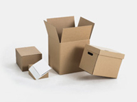 Boxx in Motion